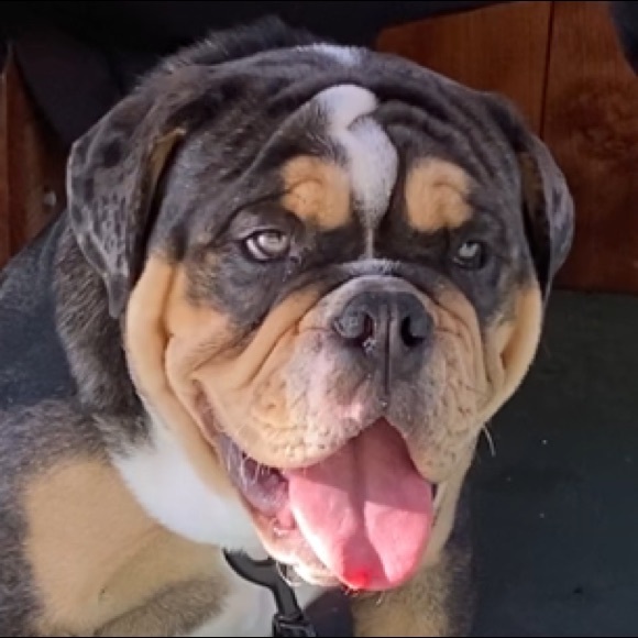 Meet your Posher, Kevin - Picture 1 of 1